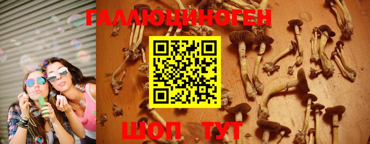 магазин продажи   Галлюциногенные грибы ЛСД  Вход с VPN  Людиново 